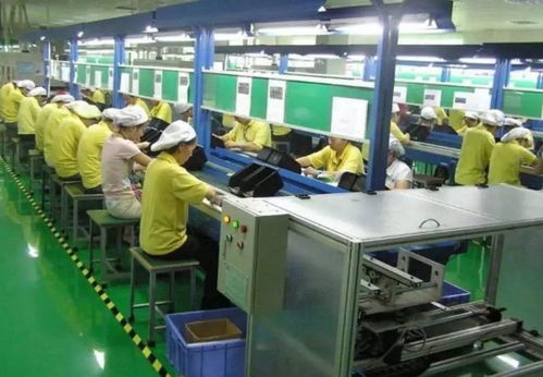 這世道,為什么我還要送孩子出國(guó)留學(xué)