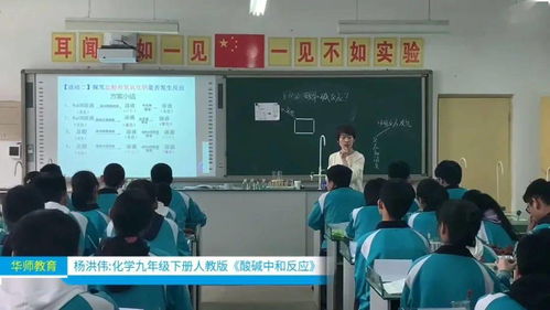 華師公益直播回顧 品牌教師精品課展示 化學(xué)九年級(jí)下冊(cè)人教版 酸堿中和反應(yīng)