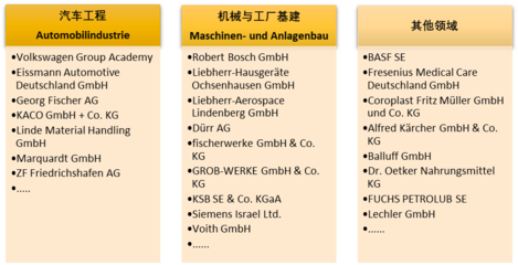 合作方SinaLingua簡介