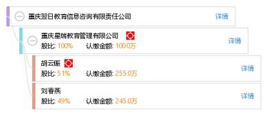 重慶翌日教育信息咨詢有限責任公司 專業(yè)教育信息咨詢服務的引領者